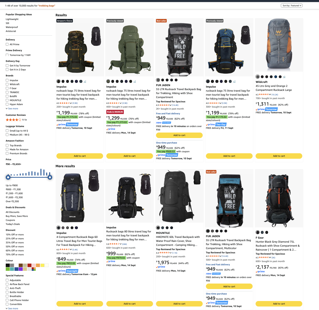 Amazon search results for trekking bags